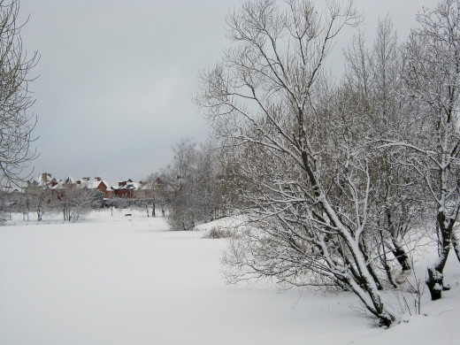 600058 (a): :3648x2736